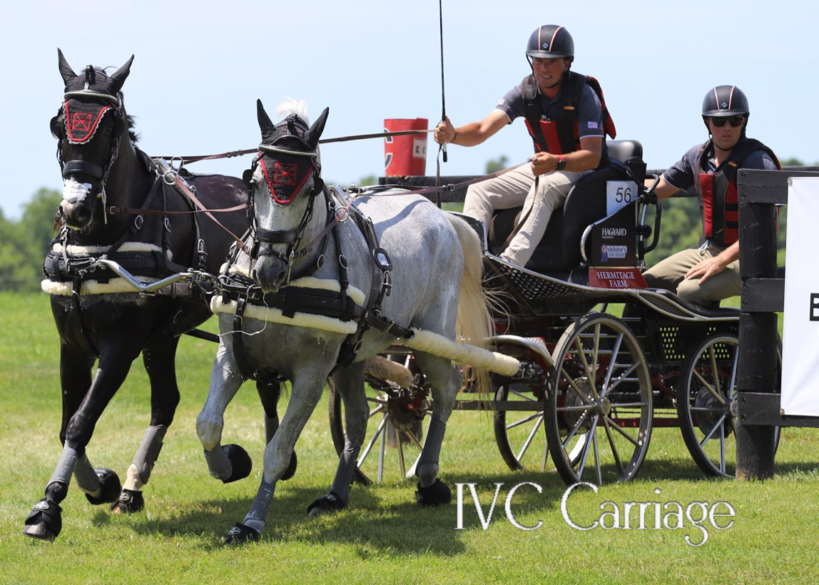 Sheepskin Horse Harness Pads | IVC Carriage