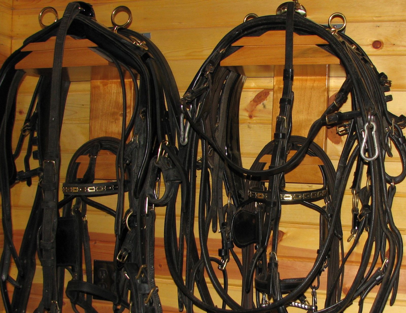 Used Horse Harness and Equipment | IVC Carriage