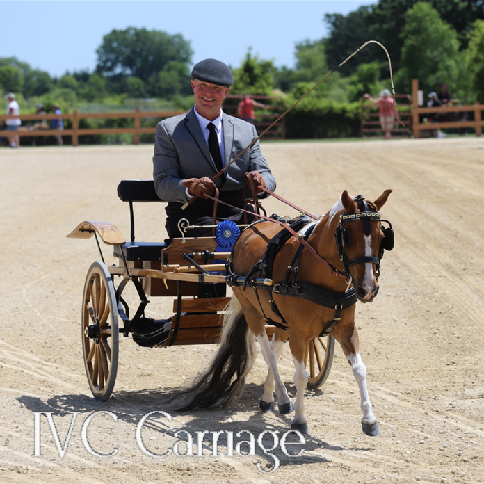 IVC Carriage Miniature Horse Harness