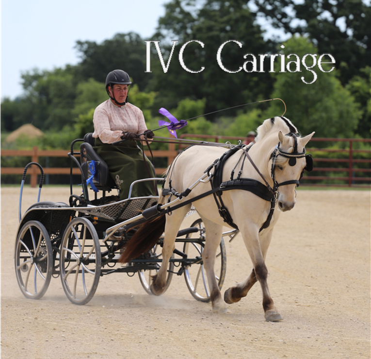 IVC Carriage Cob Harness