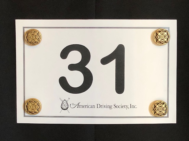 Sparkling AB Crystal Magnetic Number Pins For Horse Shows – Rivoli Style