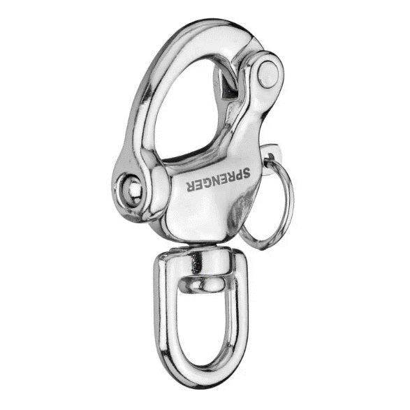 Carabiner D Ring Clips Spring Snap Hook Heavy Duty Stainless Steel Boat  Sail Tug 