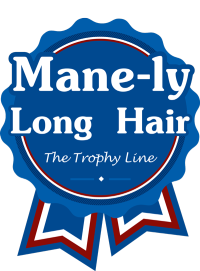Manely Long Hair Horse Grooming