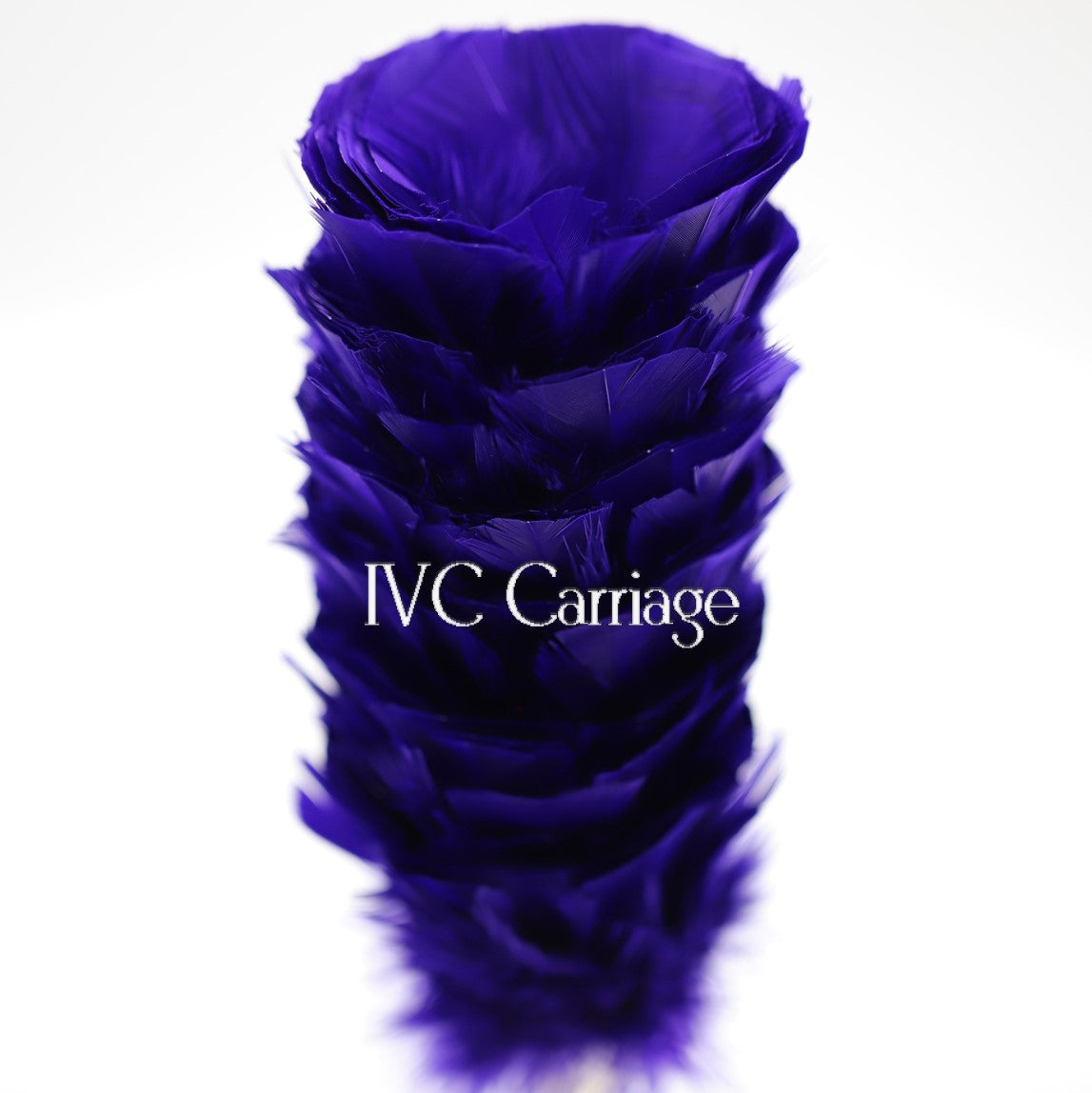 Purple Feather Plume | IVC Carriage