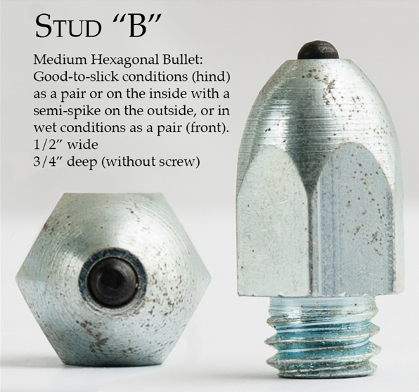 Horseshoe Studs IVC Carriage