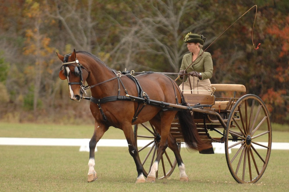 Smucker Super Deluxe Leather Horse, Pony, Miniature Harness IVC Carriage