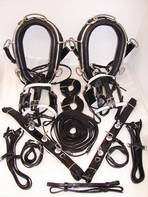 Guide to Purchasing Horse Harness | IVC Carriage