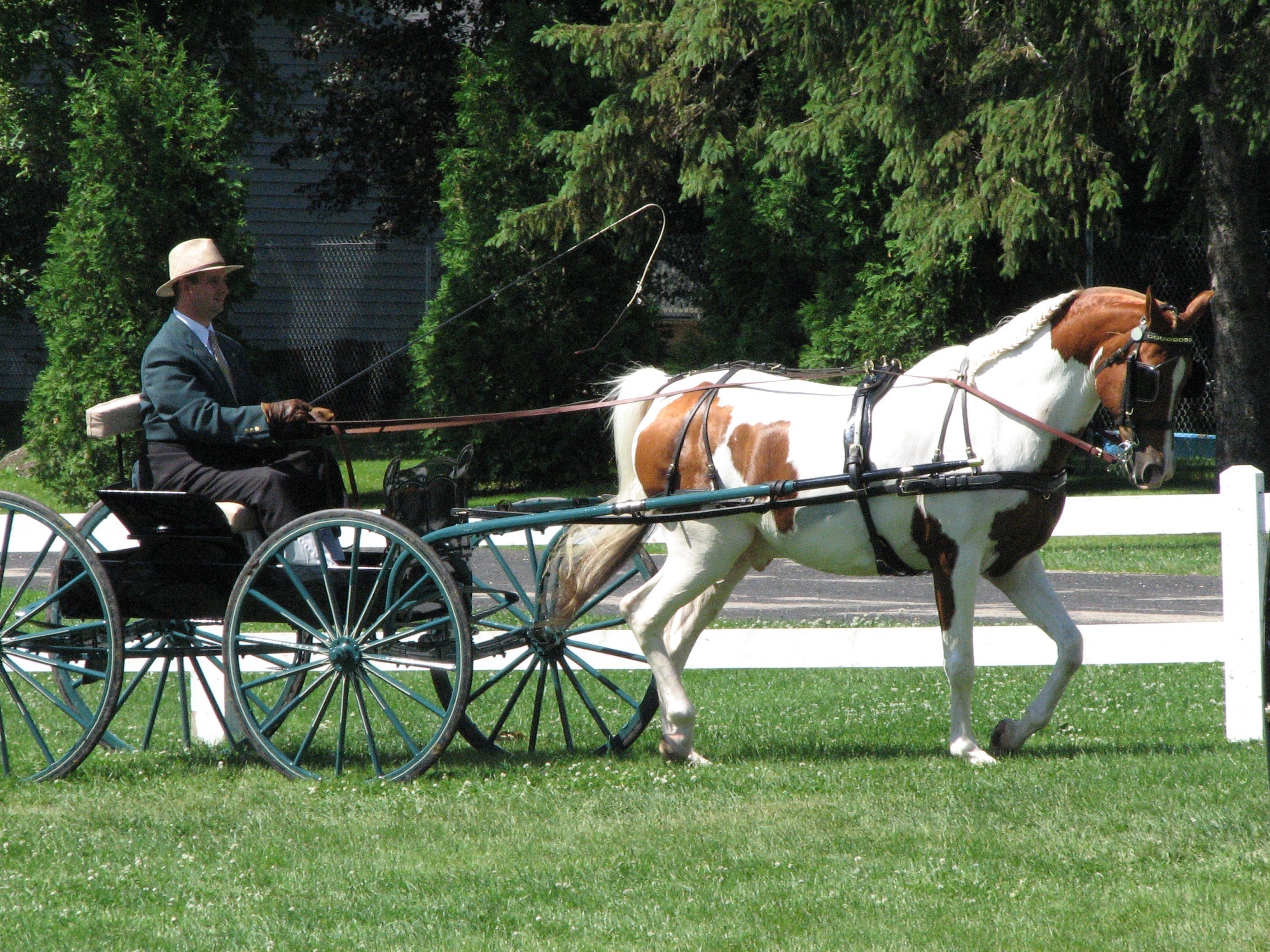 Styles of Horse Driving