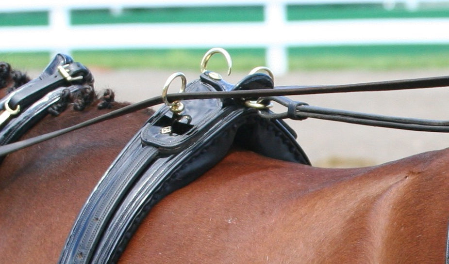 Harness Parts You Didn’t Know