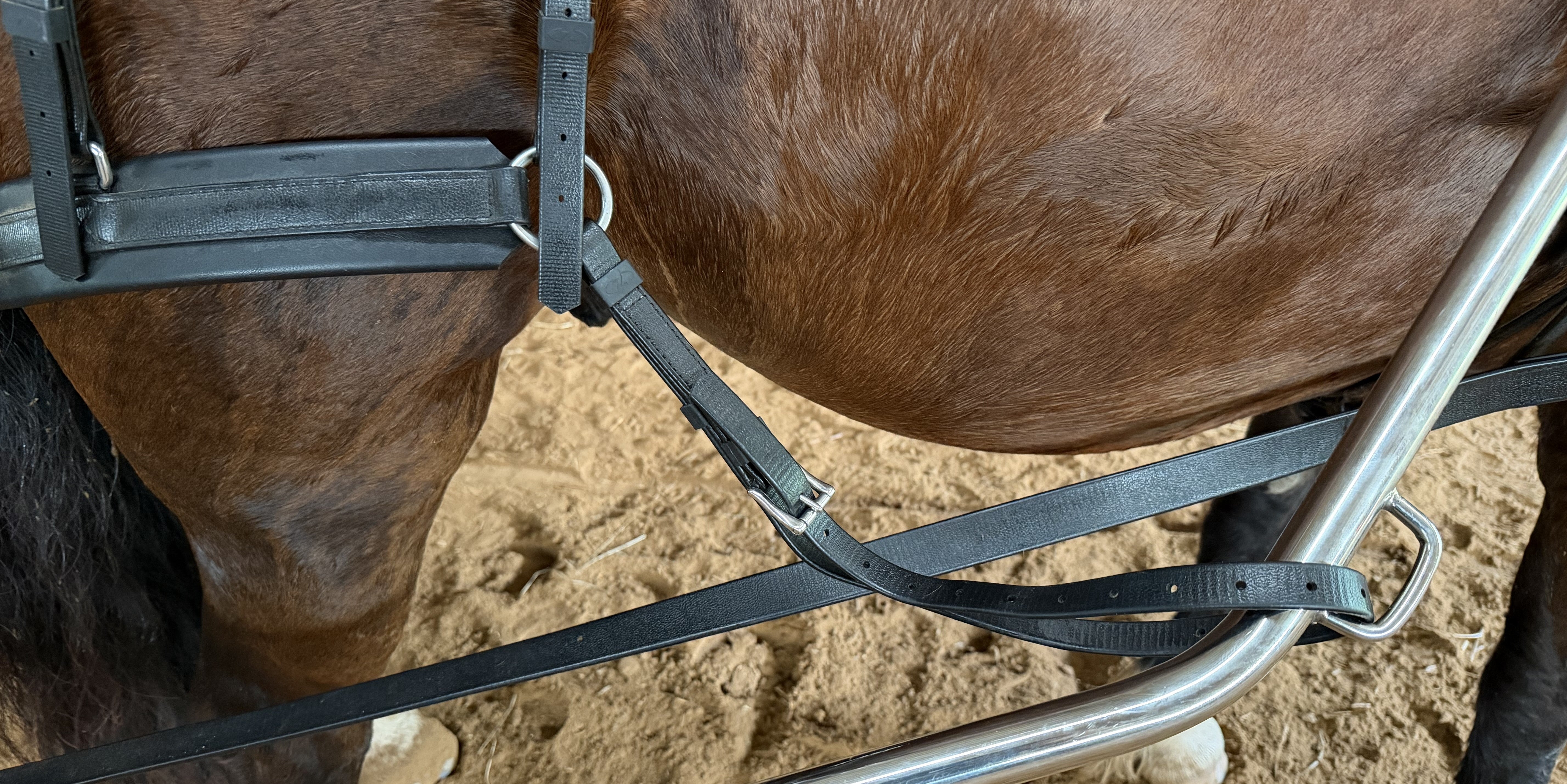Loose Breeching Straps