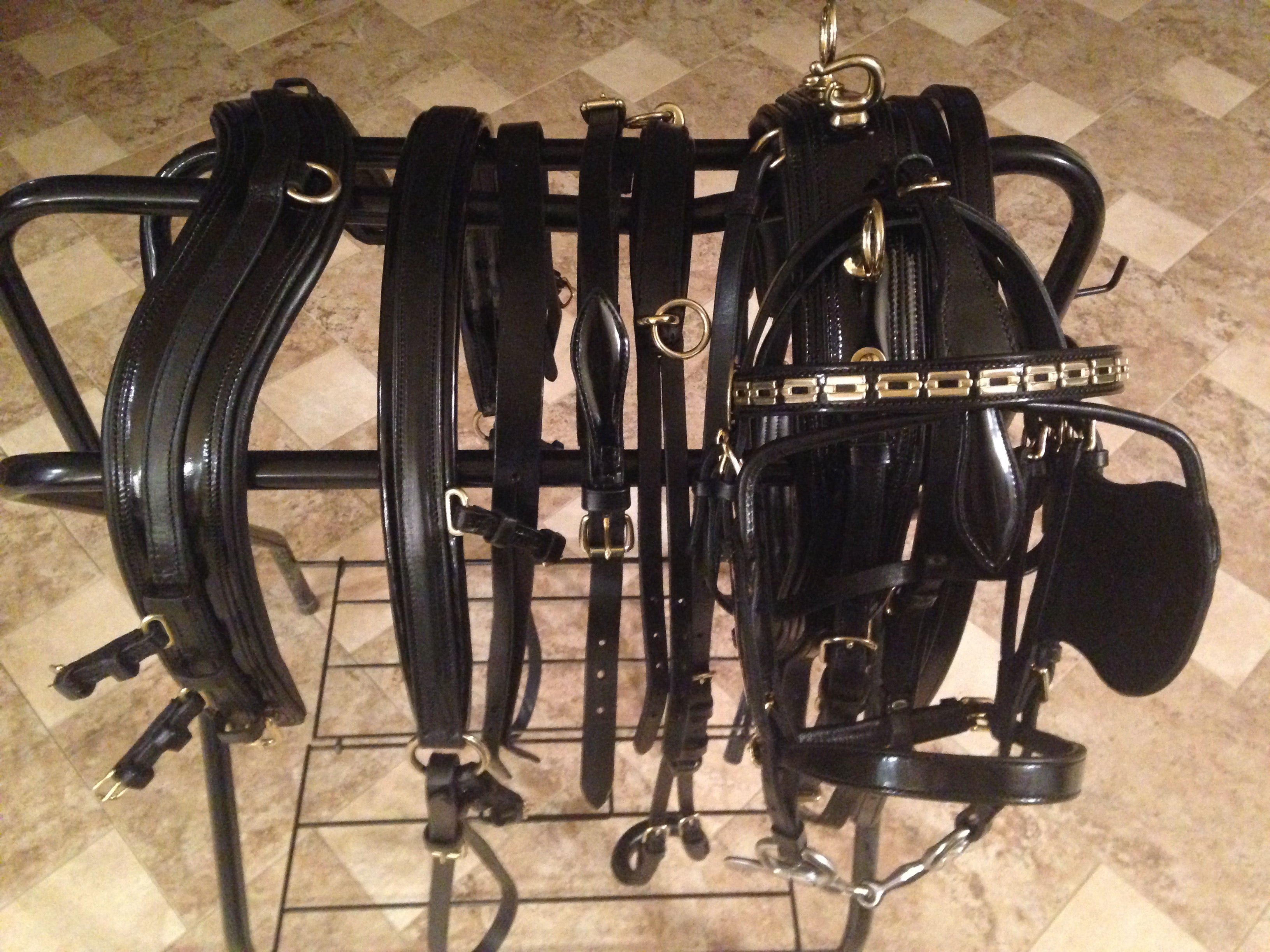 One Harness, Two Horses