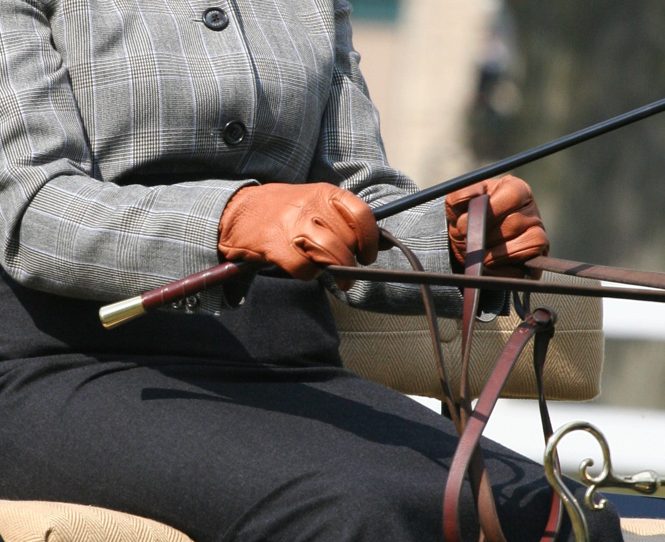 Carriage Driving Reins