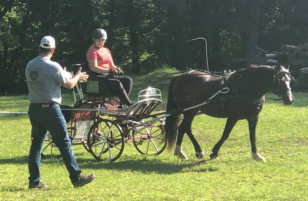 Mistakes New Carriage Show Competitors Make