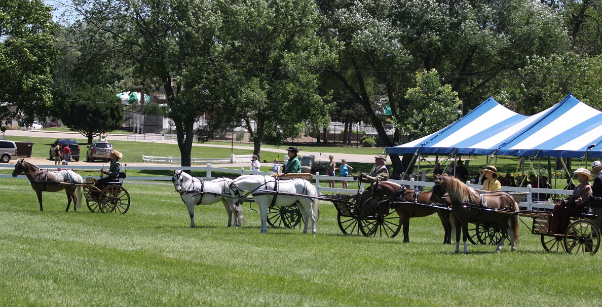 The Mysterious Turnout Class