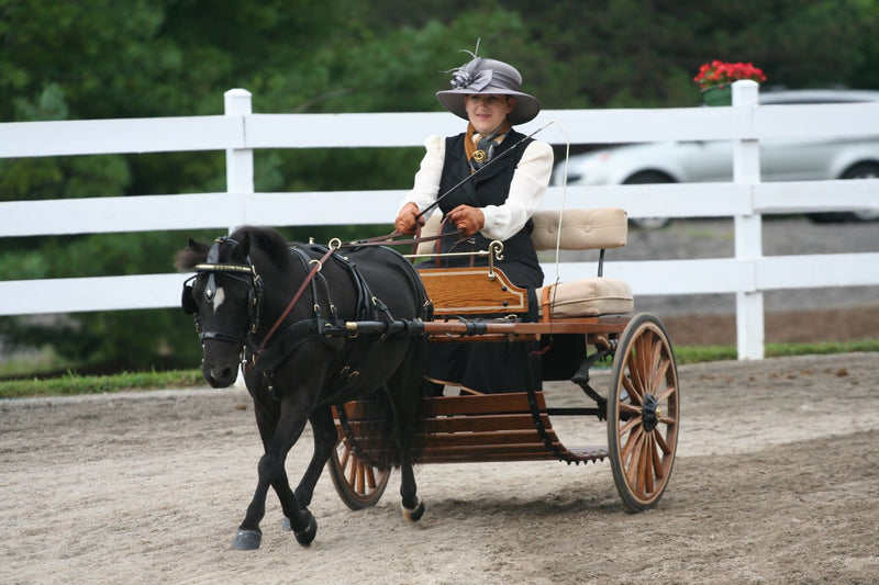 Reinsmanship Strategies IVC Carriage