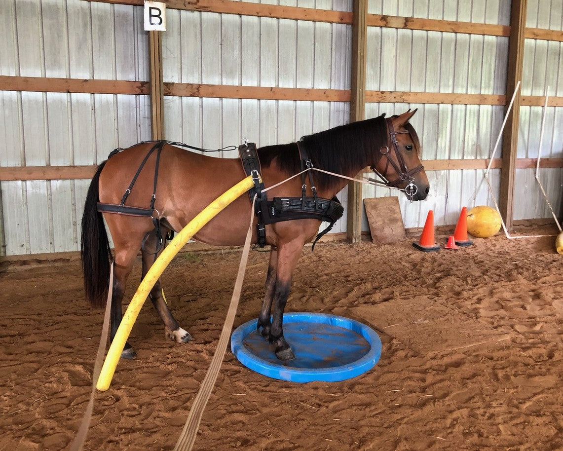 More Holes Than Swiss Cheese