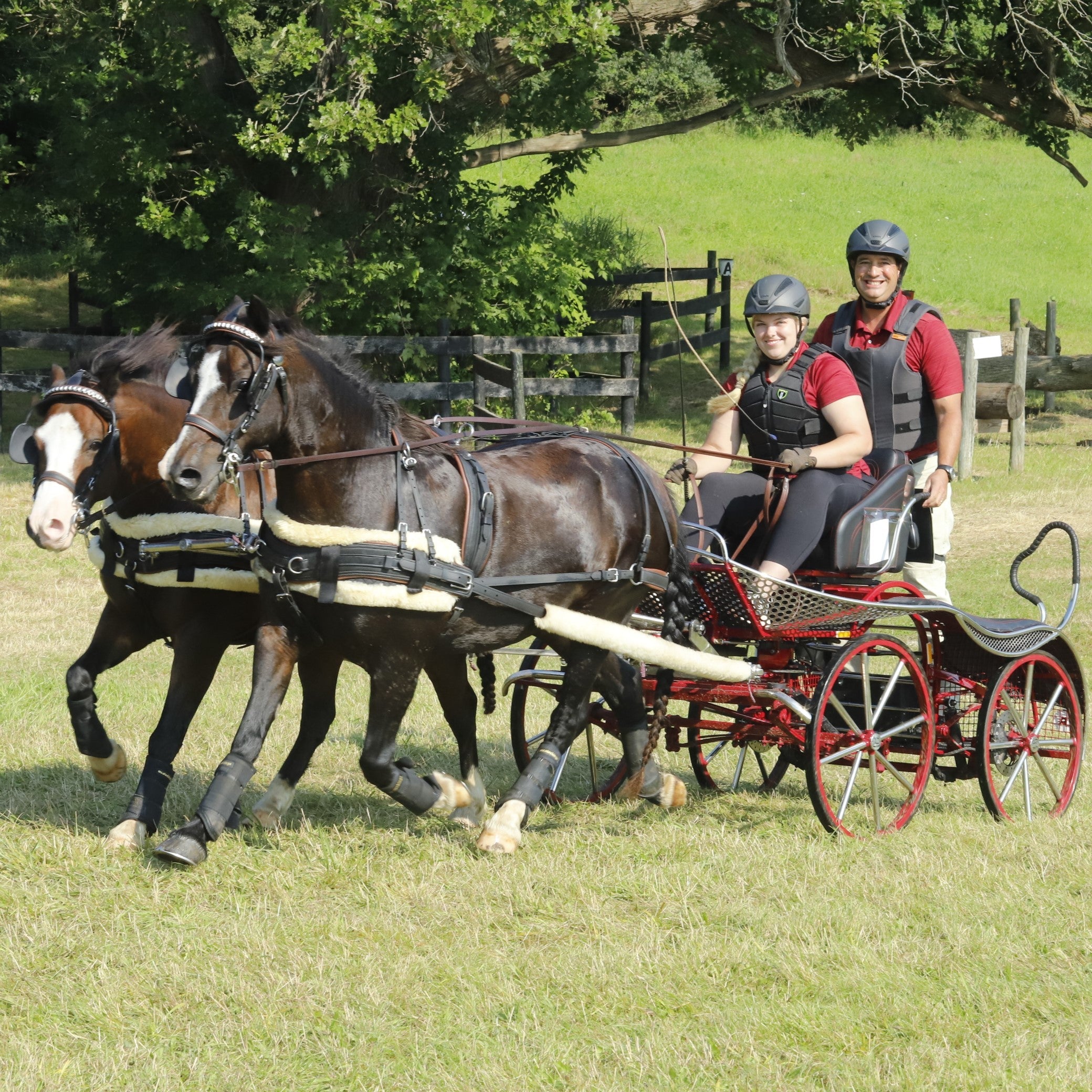 What Do I Need to Convert My Single Harness for a Pair?