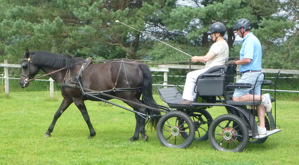 Carriage Driving Looks Like Fun…How Do I Get Started?