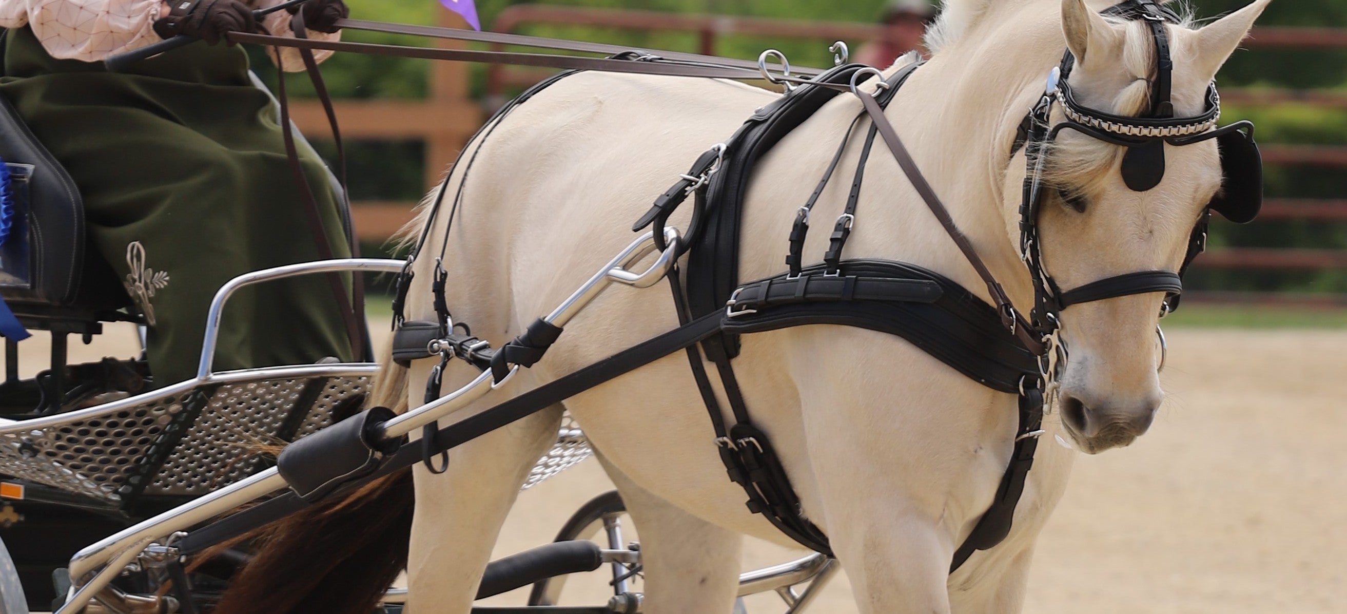 Types of Horse Carriage Shafts