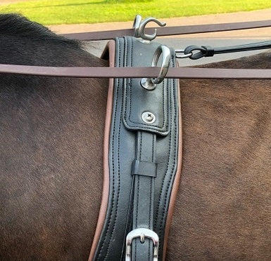 Horse Harness Saddle Placement | IVC Carriage