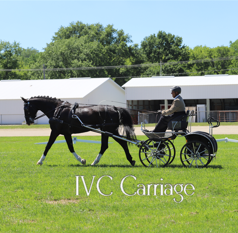 IVC Large Horse Harness | IVC Carriage