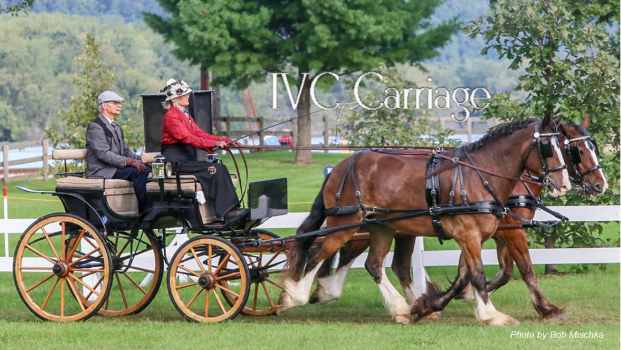 Mastering The Draft Horse Driving Harness: A Complete Guide To Every Part And Proper Fit Mastering The Draft Horse Driving Harness: A Complete Guide To Every Part And Proper Fit