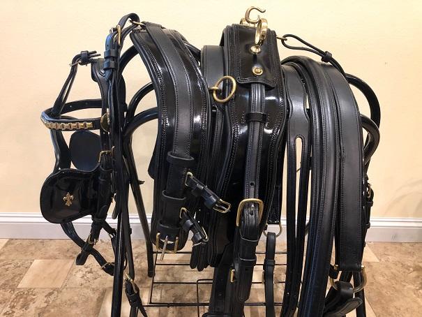 In-Stock Horse Harness | IVC Carriage