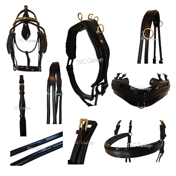 IVC Elite Leather Harness | IVC Carriage