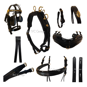 IVC Leather Horse Harness