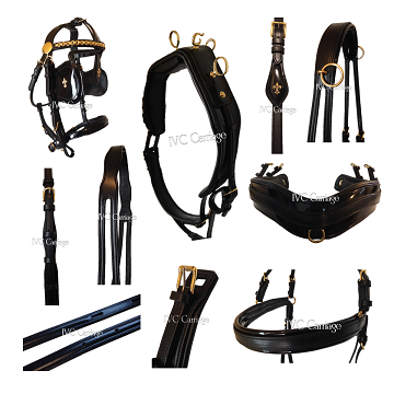 IVC Extra Elite Leather Carriage Harness