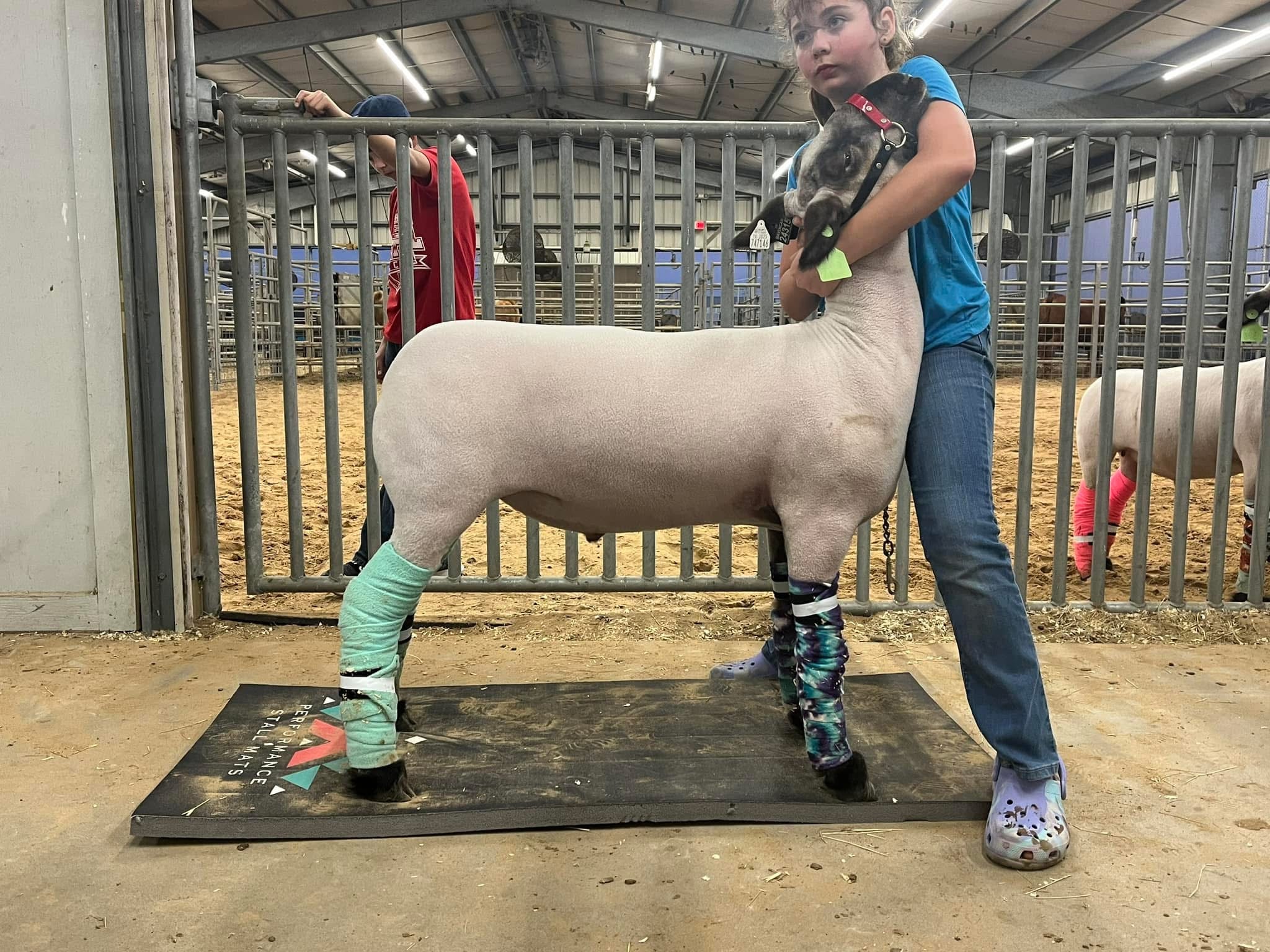 Portable Livestock Mat