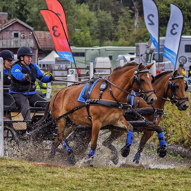 Ideal EuroTech Classic Synthetic Pair Harness