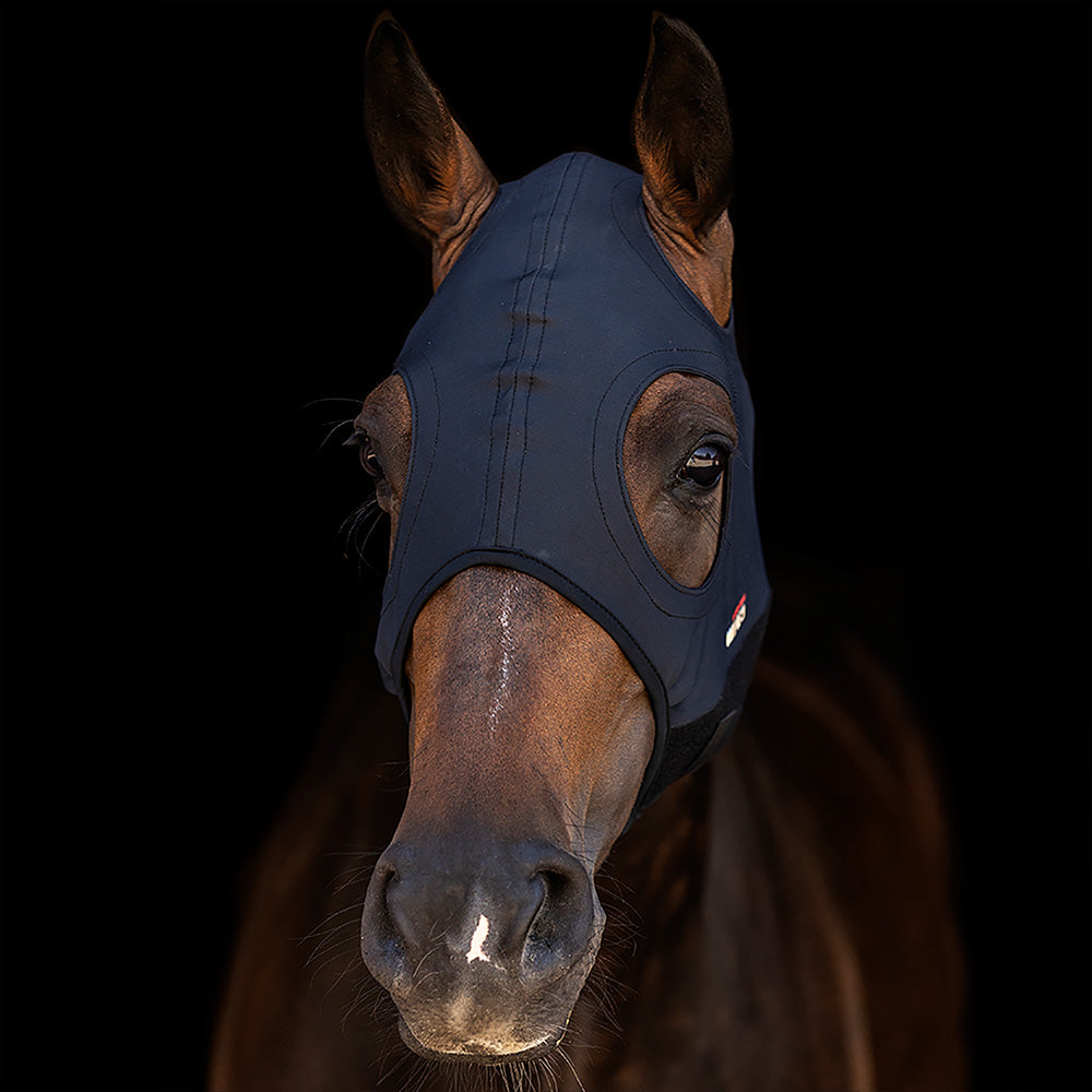 Titanium Horse Mask without Ears
