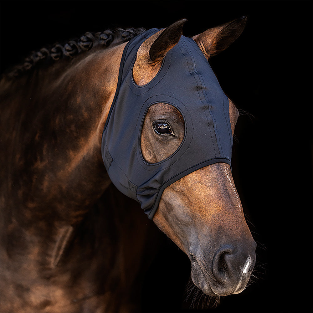 Titanium Horse Mask without Ears