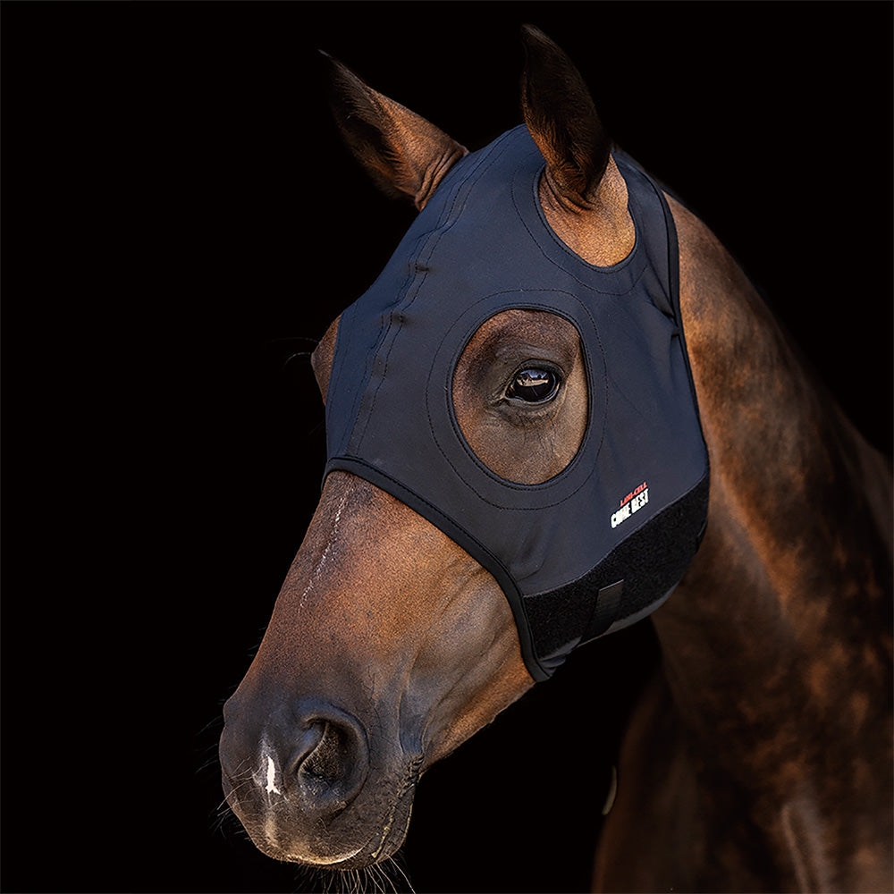 Titanium Horse Mask without Ears