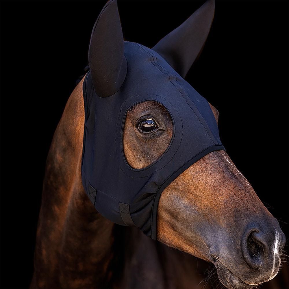Titanium Horse Mask with Ears