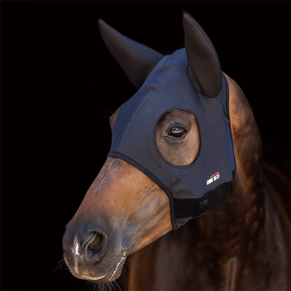 Titanium Horse Mask with Ears