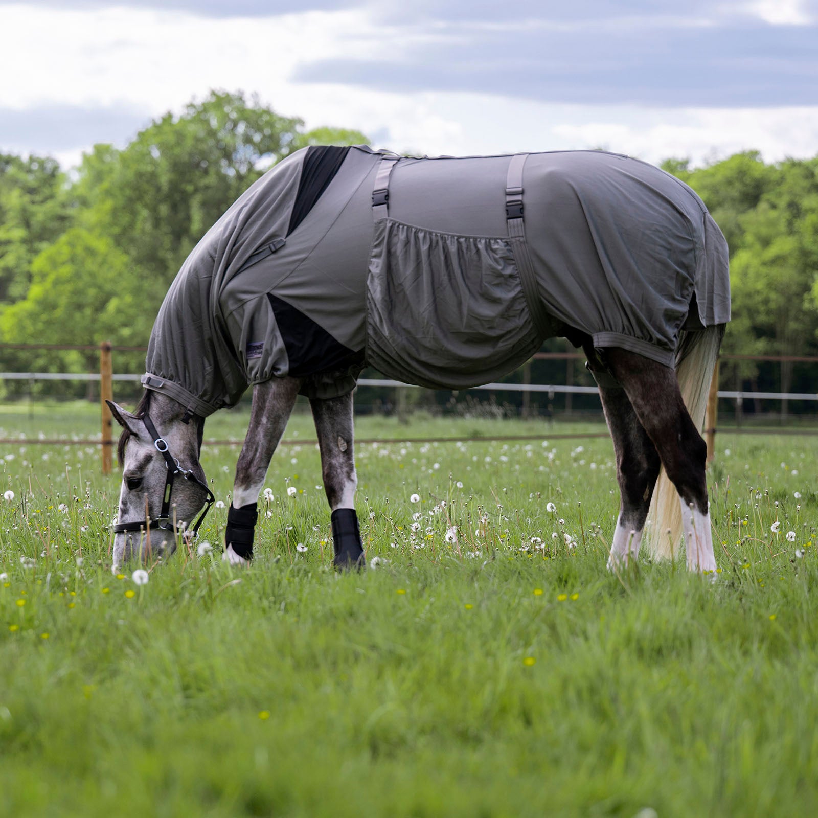 EQUEST Fine Mesh Fly Insect Sheet