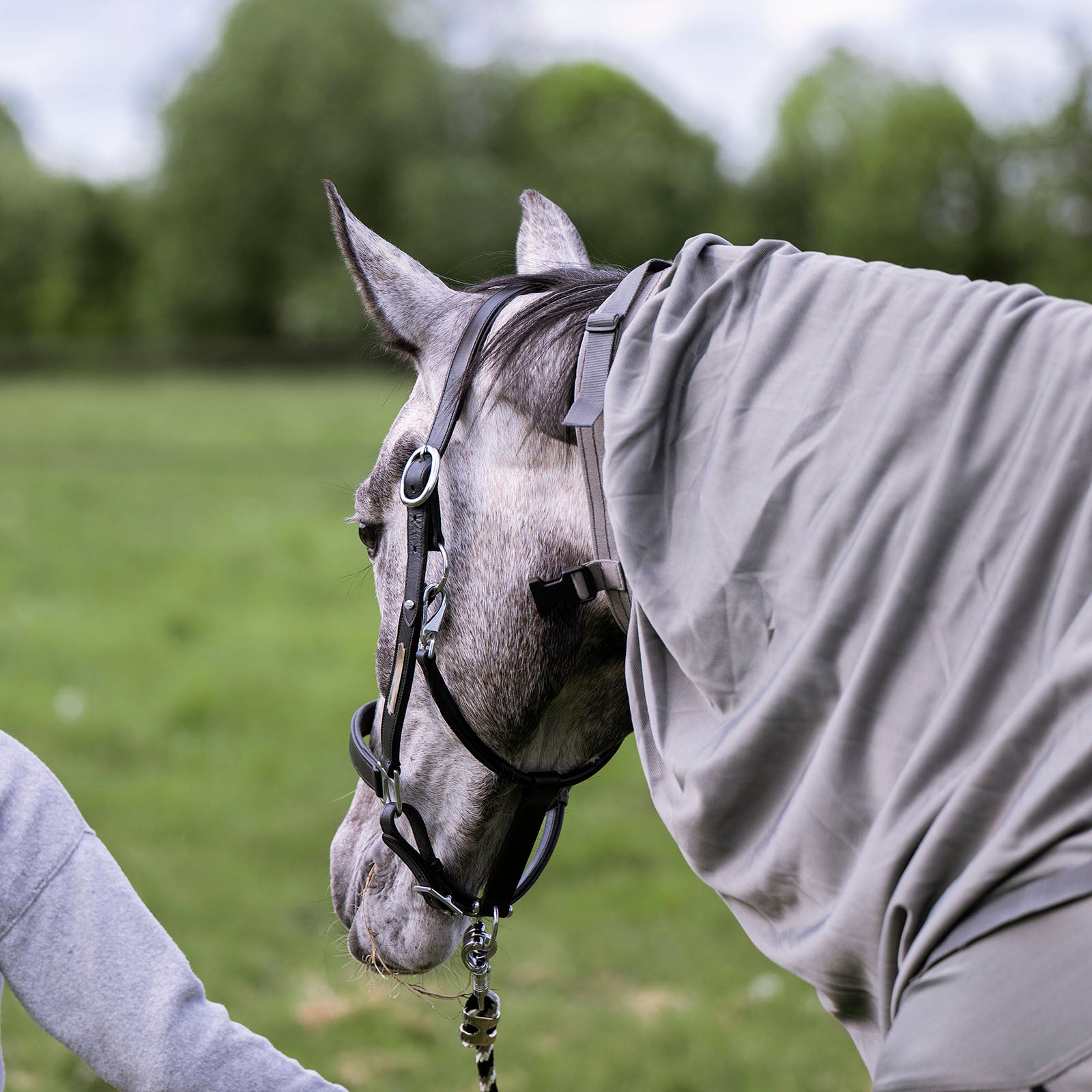 EQUEST Fine Mesh Fly Insect Sheet