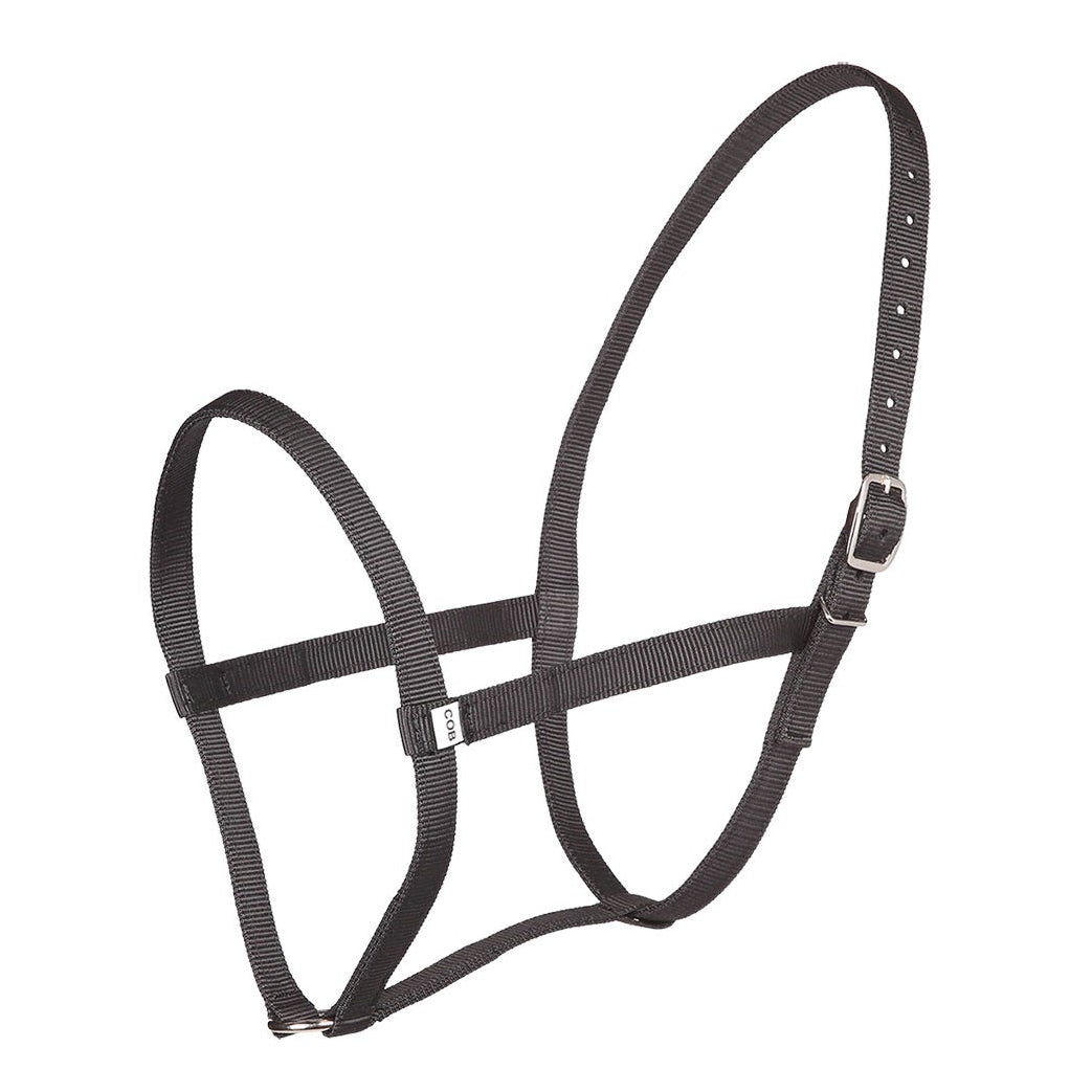 black Zilco Web Underhalter 