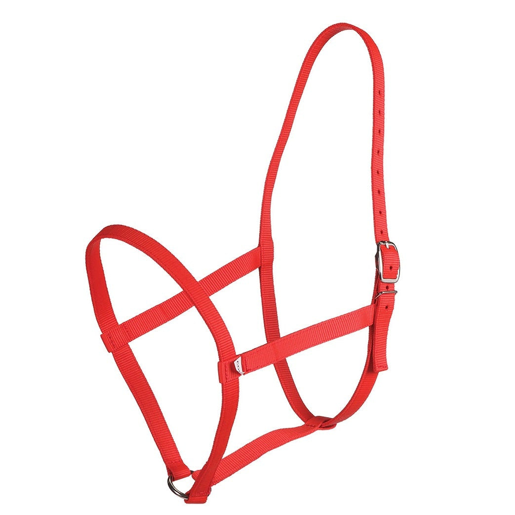 red Zilco Web Underhalter 