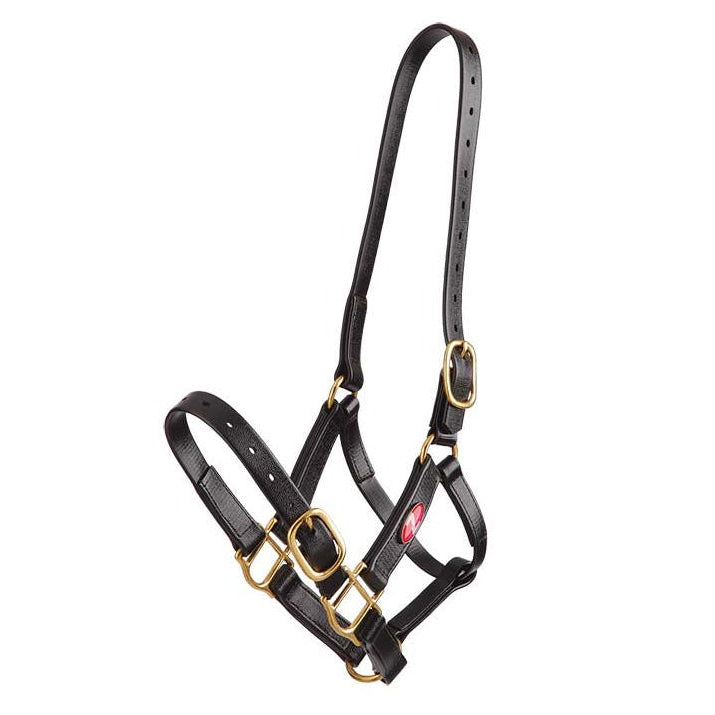 black Zilco 25mm PN Nose Buckle Halter 