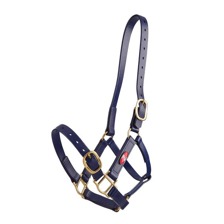 dark blue Zilco 25mm PN Nose Buckle Halter 