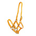 yellow Zilco 25mm PN Nose Buckle Halter 