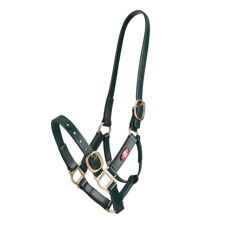 dark green Zilco 25mm PN Nose Buckle Halter 