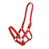 red Zilco 25mm PN Nose Buckle Halter 
