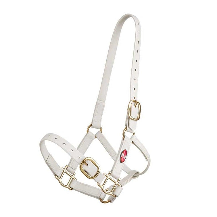 white Zilco 25mm PN Nose Buckle Halter 