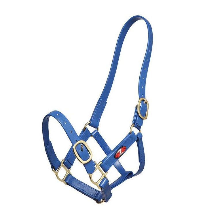 royal blue Zilco 25mm PN Nose Buckle Halter 