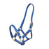 royal blue Zilco 25mm PN Nose Buckle Halter 