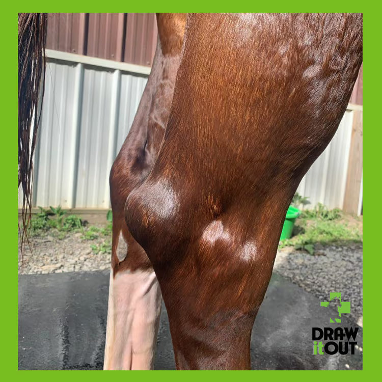 Draw It Out® 16oz High Potency Liniment Gel | No Tingle, No Mess